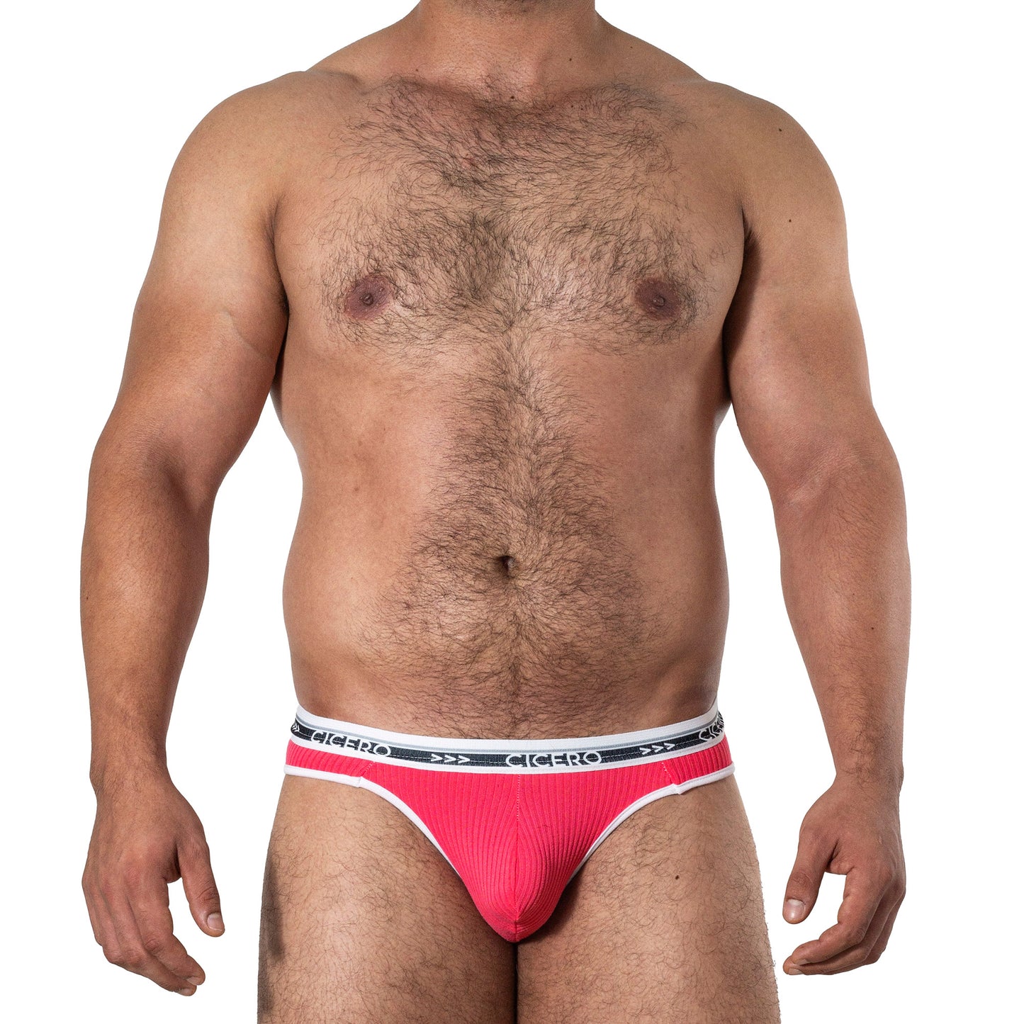 SF0007 Slip strip Rosa Mexicano resorte cícero