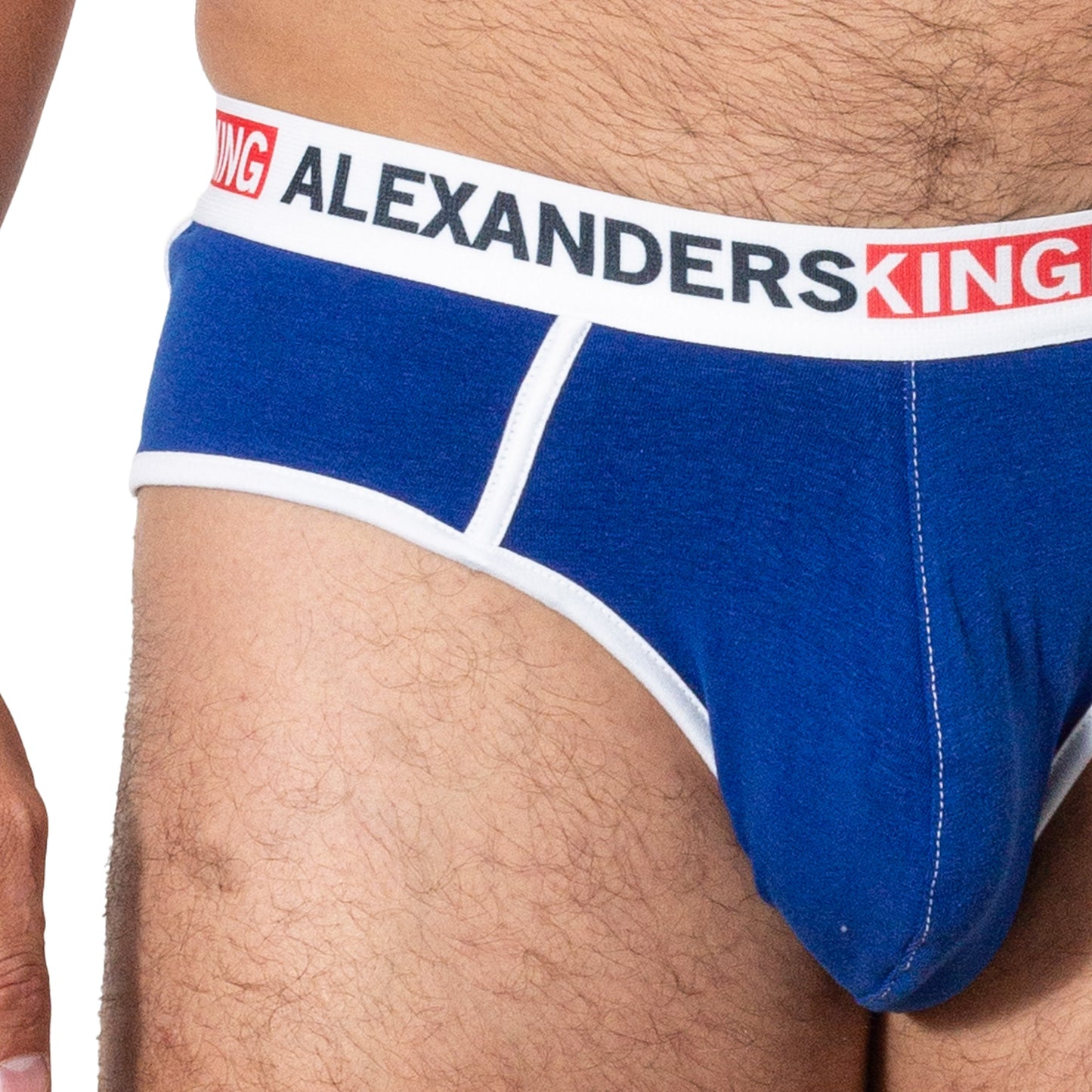 TP0323 Brief azul rey Comfort Alexanders King