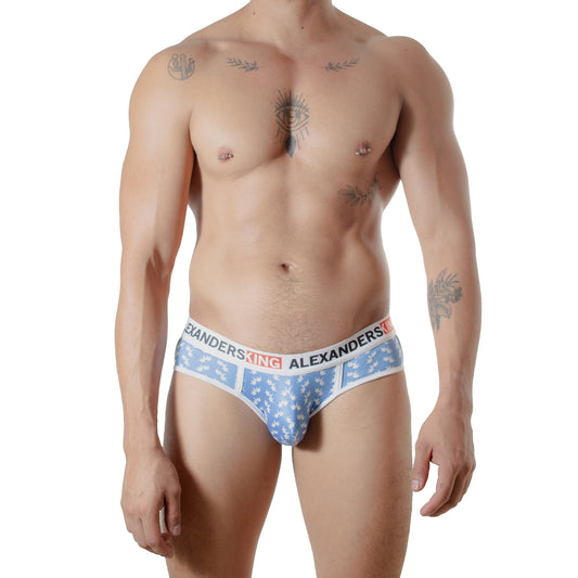 TP0414 Brief Corona de Serenidad Azul skinint
