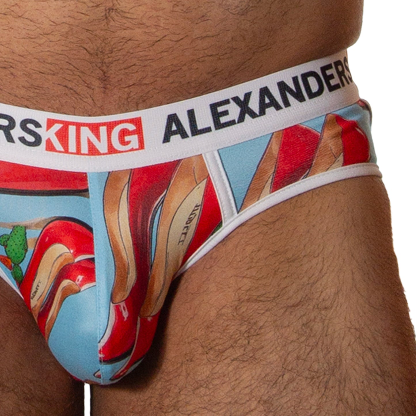TP0429 brief Mexalettos MexaPride skinit