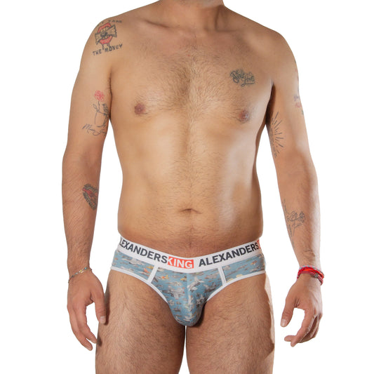 TP0435 brief Combate Aereo estapado de aviones fondo azul skinit