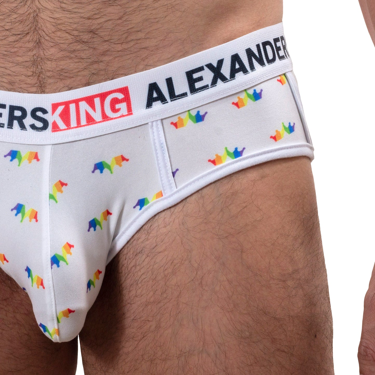 TP0273 Brief Panties RainbowBrite Navy Blue with detail in colored bars SkinIt AlexandersKing