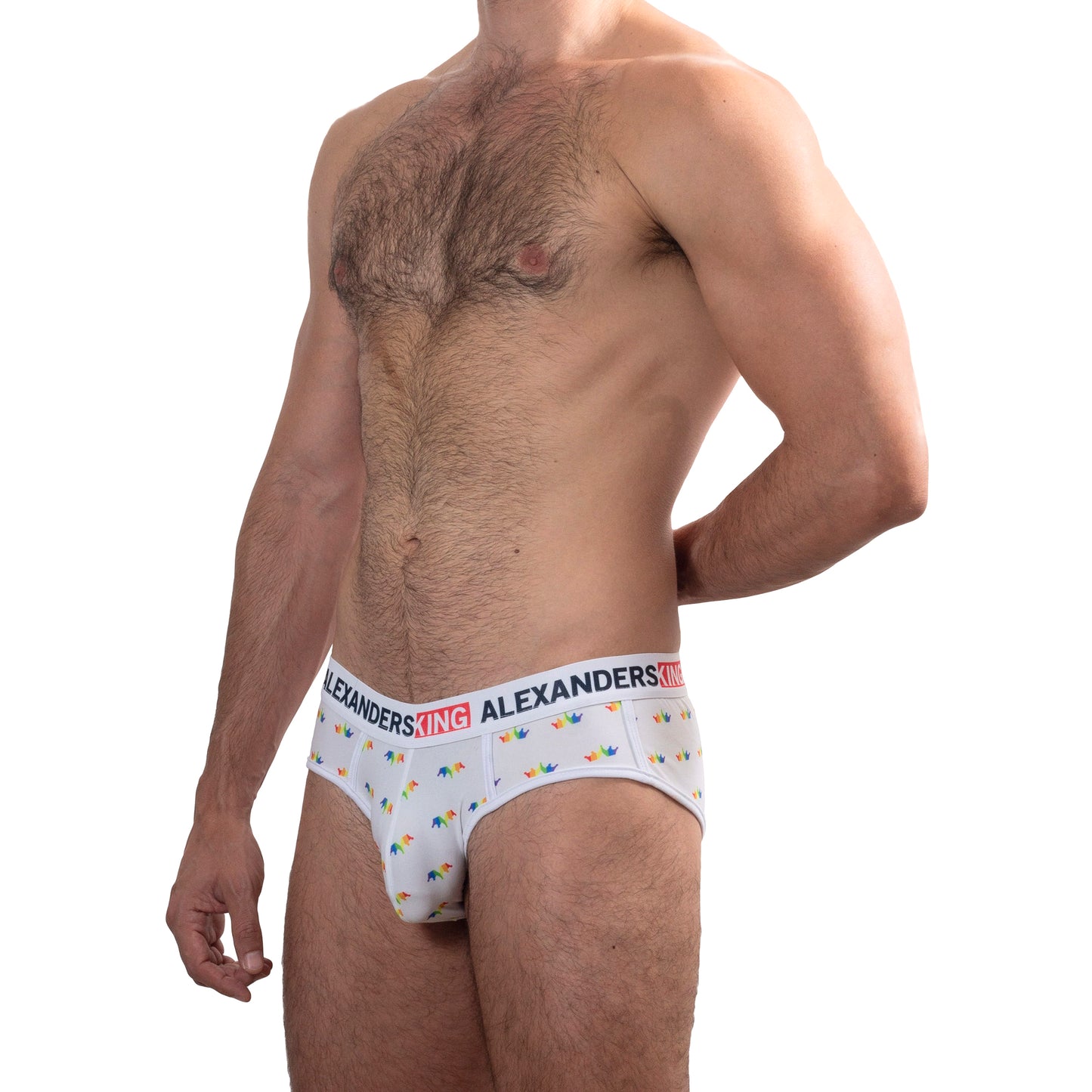 TP0273 Brief Panties RainbowBrite Navy Blue with detail in colored bars SkinIt AlexandersKing