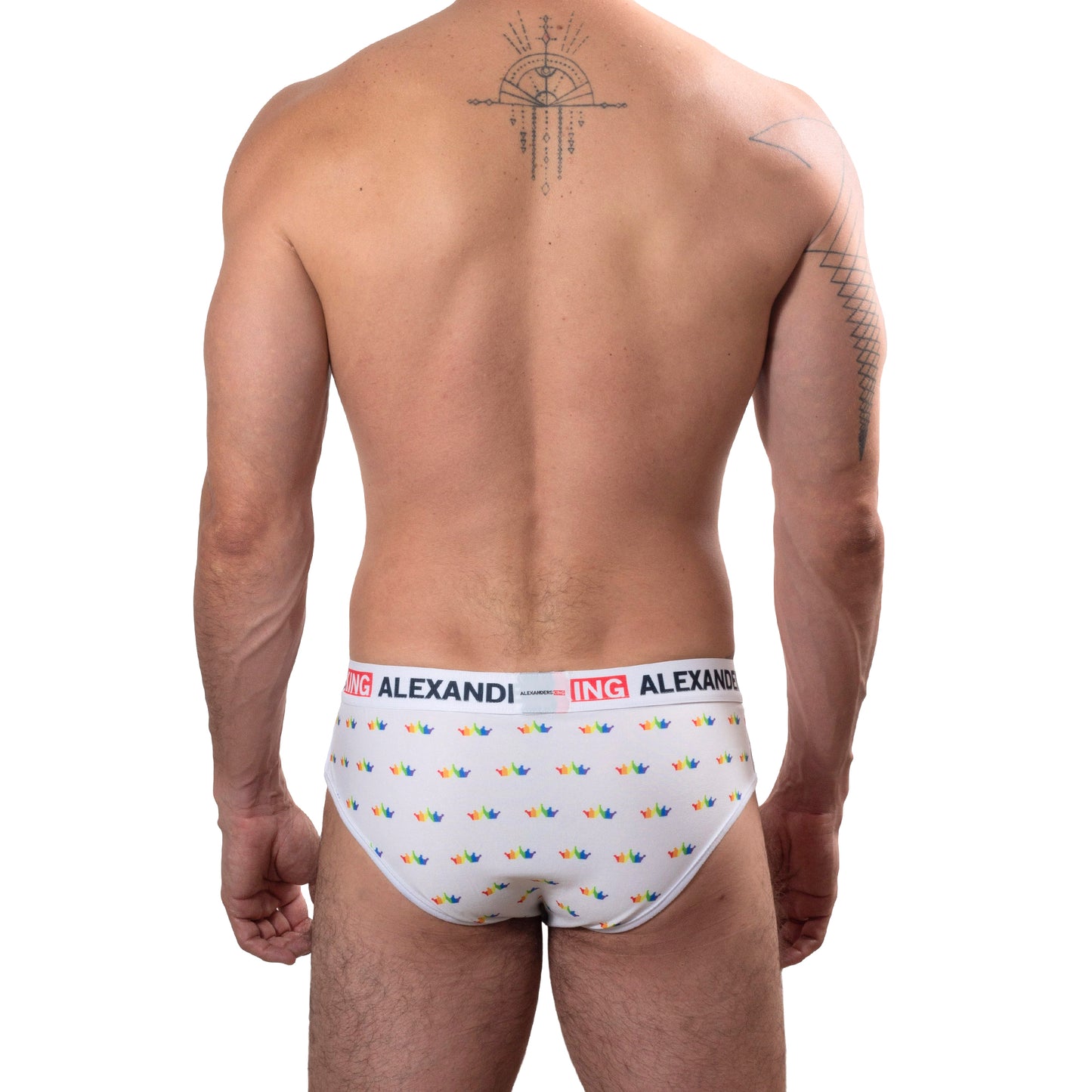 TP0273 Brief Panties RainbowBrite Navy Blue with detail in colored bars SkinIt AlexandersKing