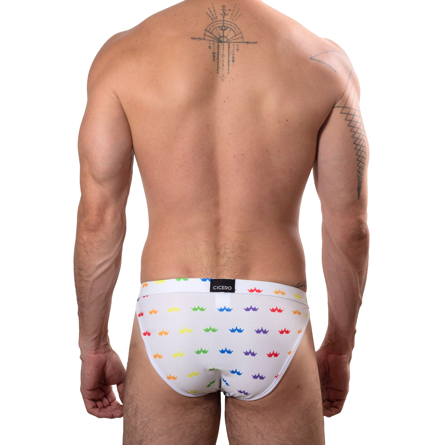 TP0273 Brief Panties RainbowBrite Navy Blue with detail in colored bars SkinIt AlexandersKing