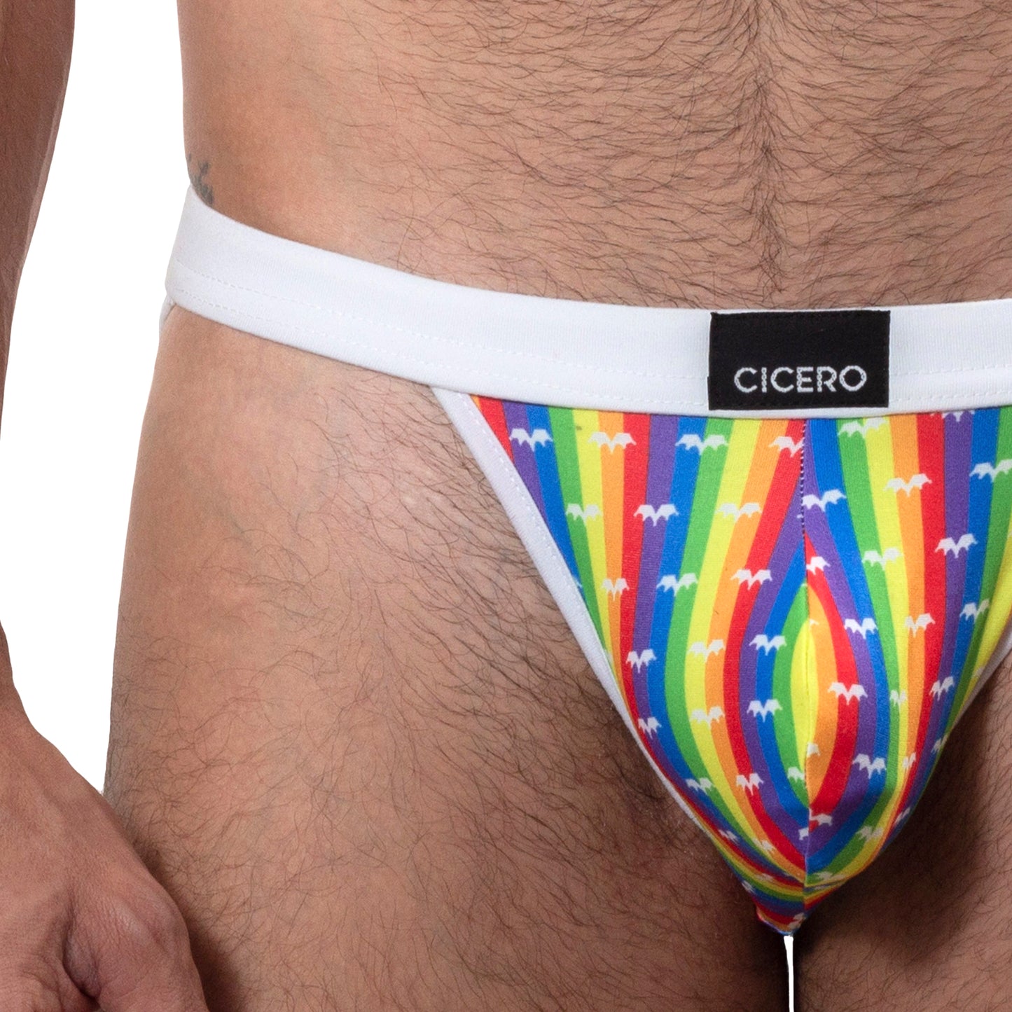 TP0273 Brief Panties RainbowBrite Navy Blue with detail in colored bars SkinIt AlexandersKing