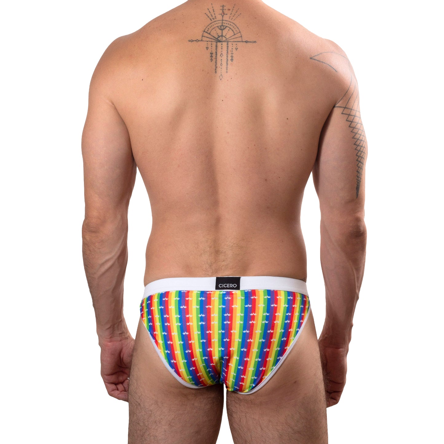 TP0273 Brief Panties RainbowBrite Navy Blue with detail in colored bars SkinIt AlexandersKing