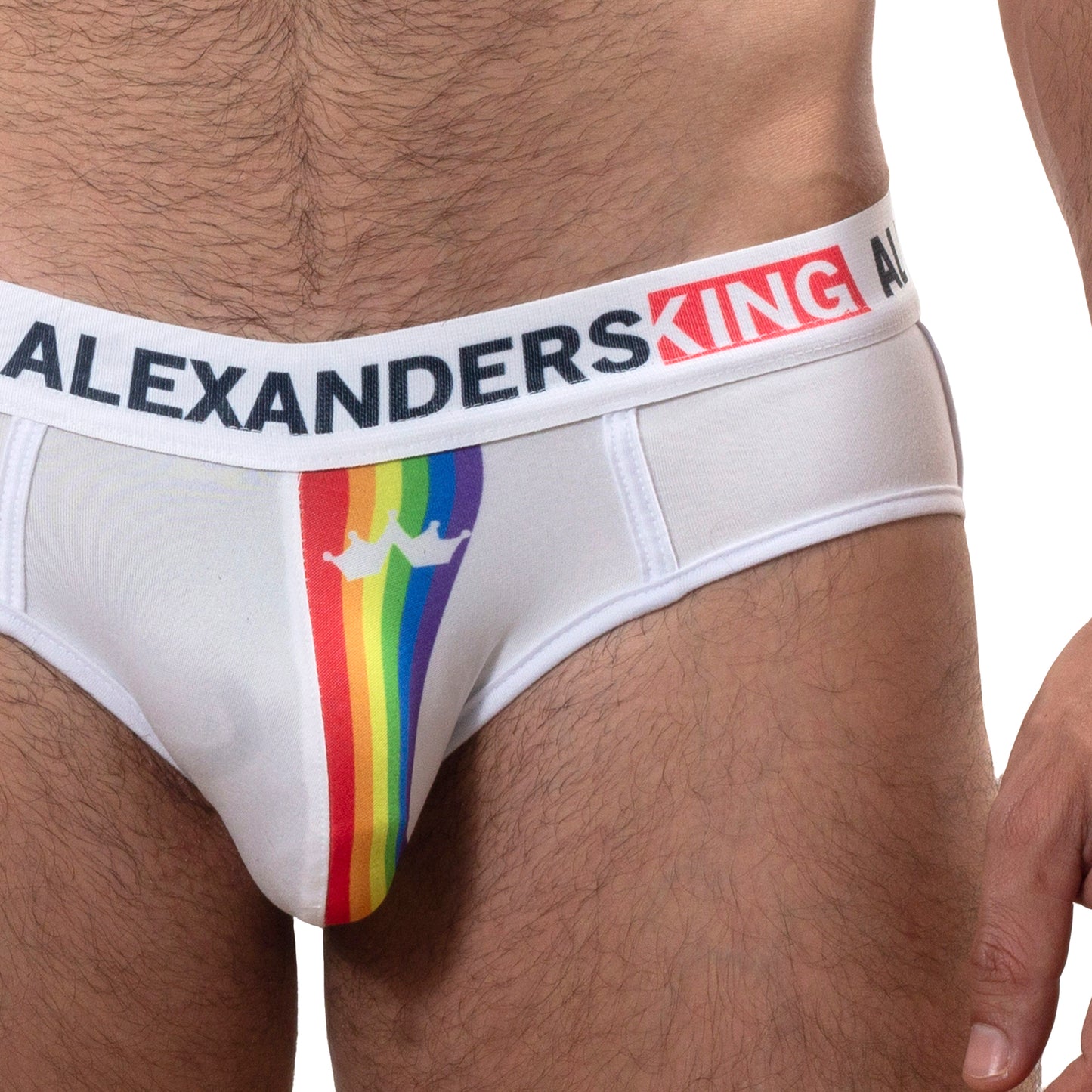 TP0273 Brief Panties RainbowBrite Navy Blue with detail in colored bars SkinIt AlexandersKing