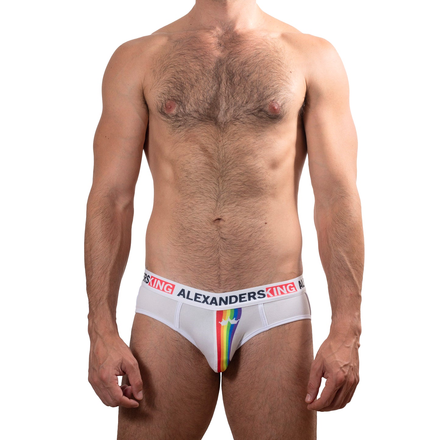 TP0273 Brief Panties RainbowBrite Navy Blue with detail in colored bars SkinIt AlexandersKing