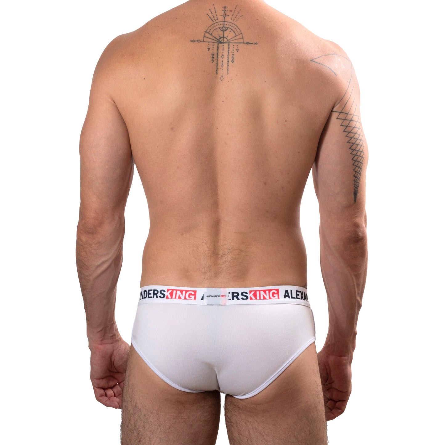 TP0273 Brief Panties RainbowBrite Navy Blue with detail in colored bars SkinIt AlexandersKing