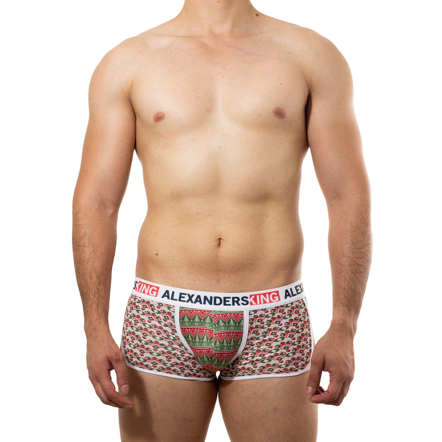 BP0022 Sublimated Flirty Garland Boxer Green and Red Pine Trees on Beige Background skinit