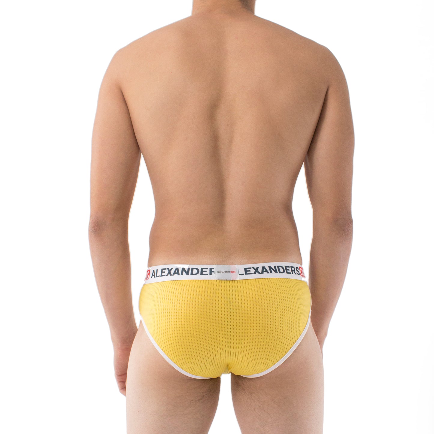 TP0118 Brief Yellow Unwet Alexanders King