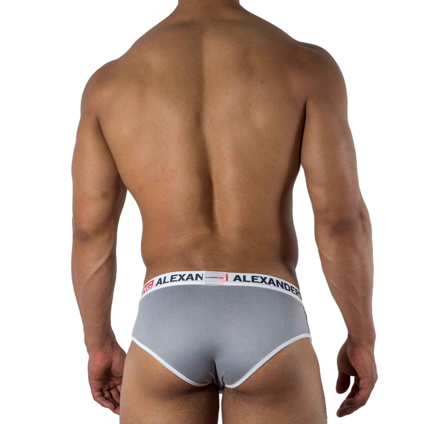 TP0073 Brief Smoke Gray Skinit Alexanders King