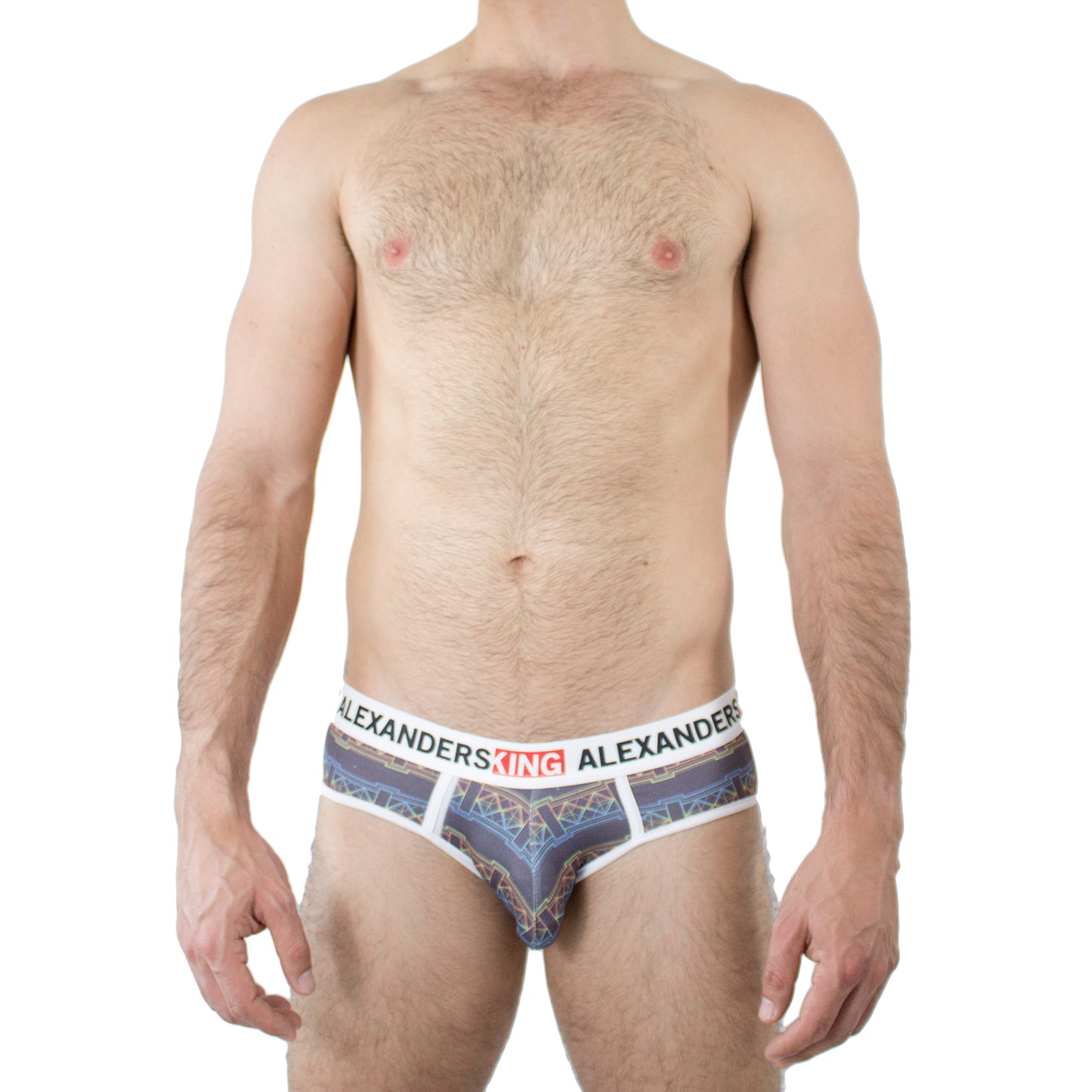 TP0175 Brief Deskey Black Purple Print and Color Fretwork Skinit Alexanders King