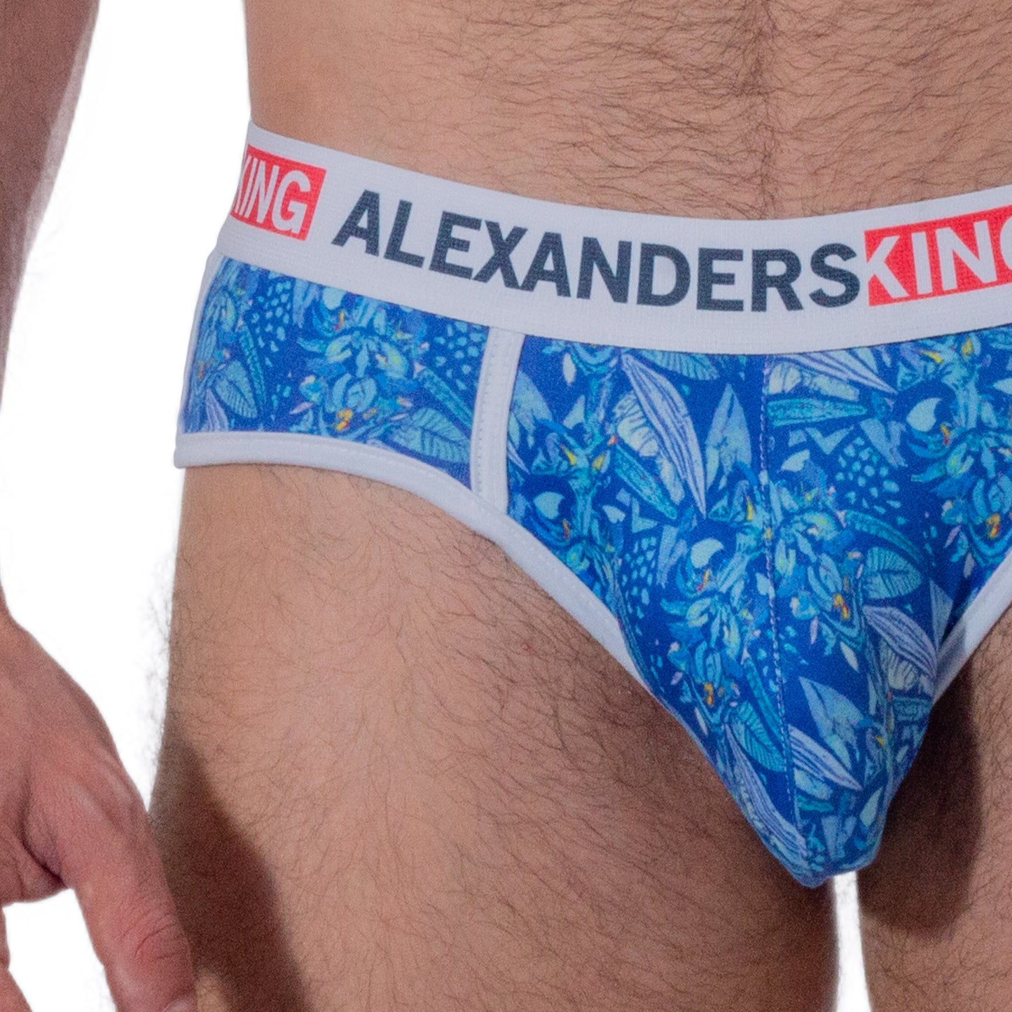 TP0299 Brief Ahau Cuzama sublimado de hojas azules skinit