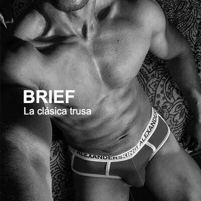 Brief