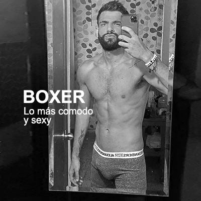 Boxer