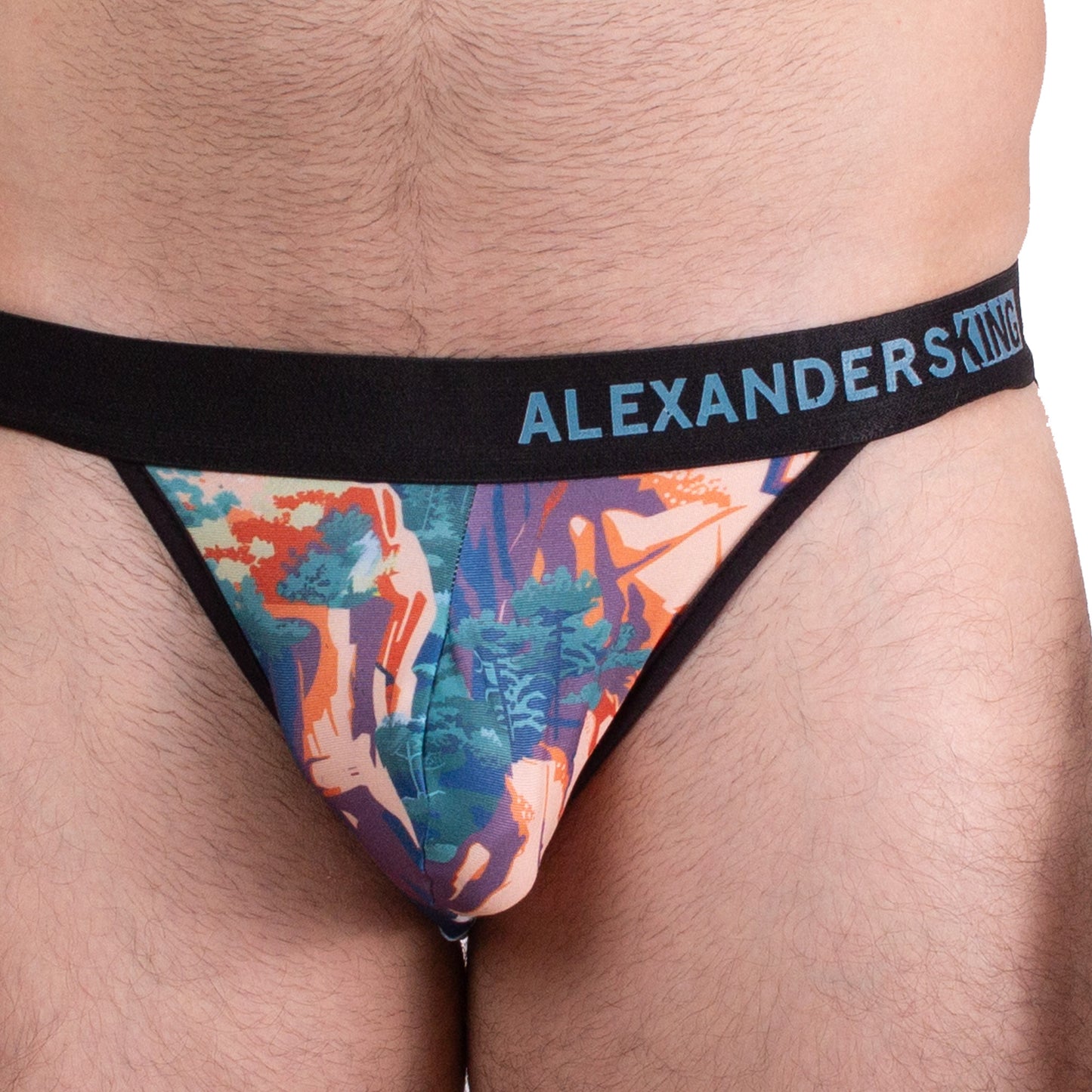 SB0089 Brief bikini estampado del Chepe Ruta infinita