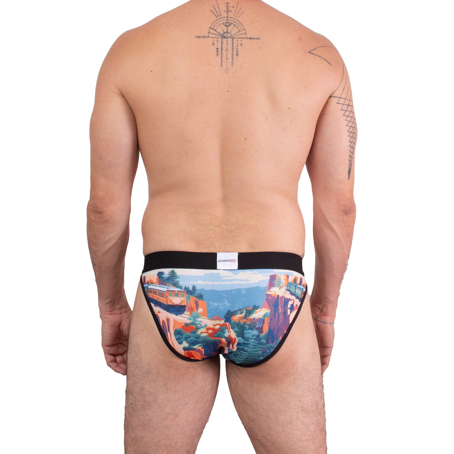 SB0089 Brief bikini estampado del Chepe Ruta infinita