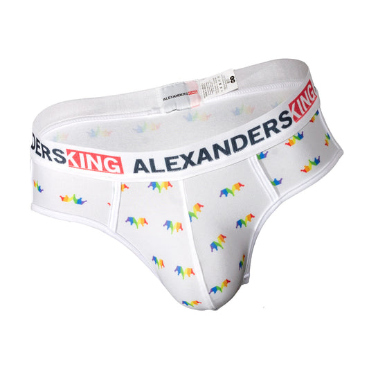 TP0273 Brief Panties RainbowBrite Navy Blue with detail in colored bars SkinIt AlexandersKing 