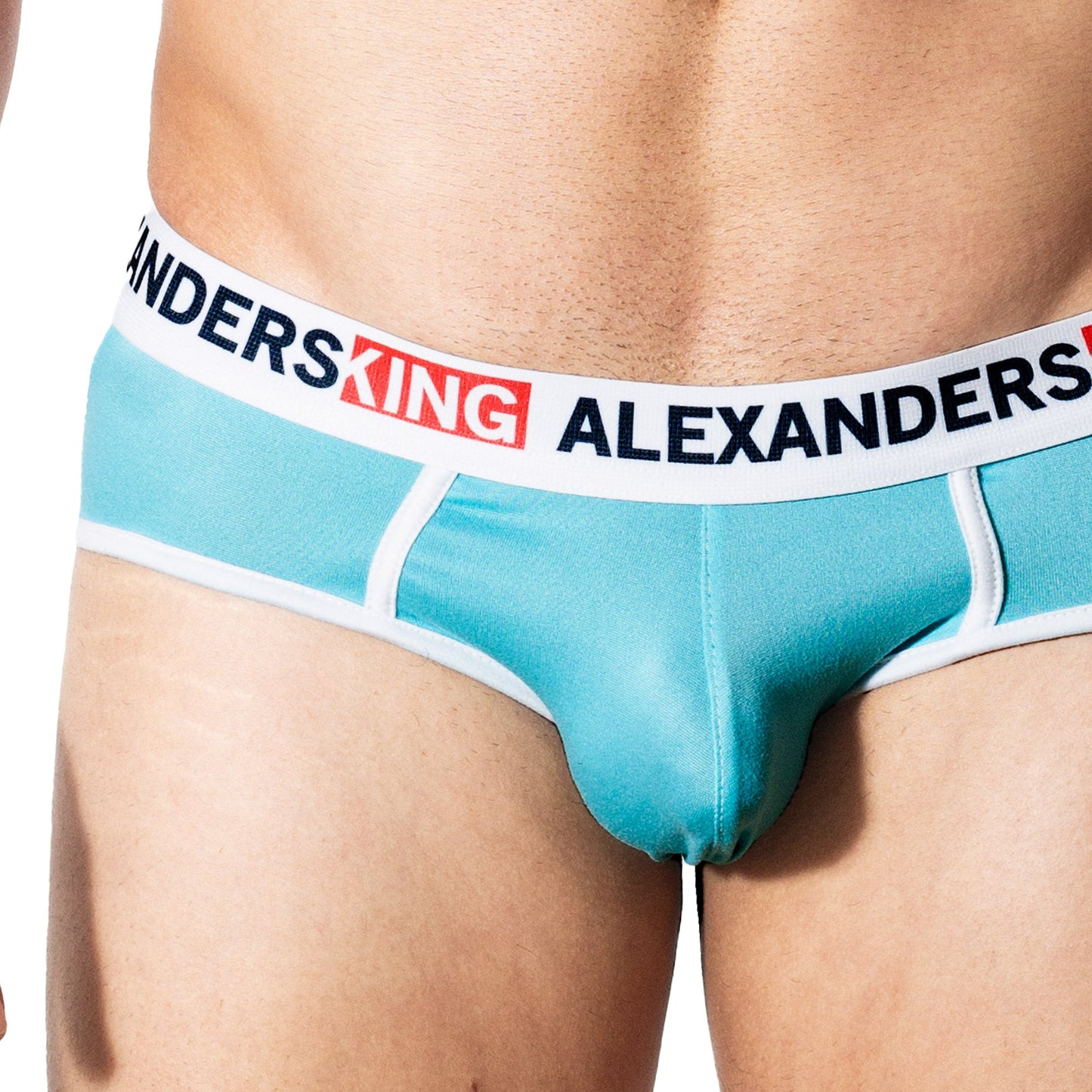 TP0328 Brief Aqua Skinit Alexanders King