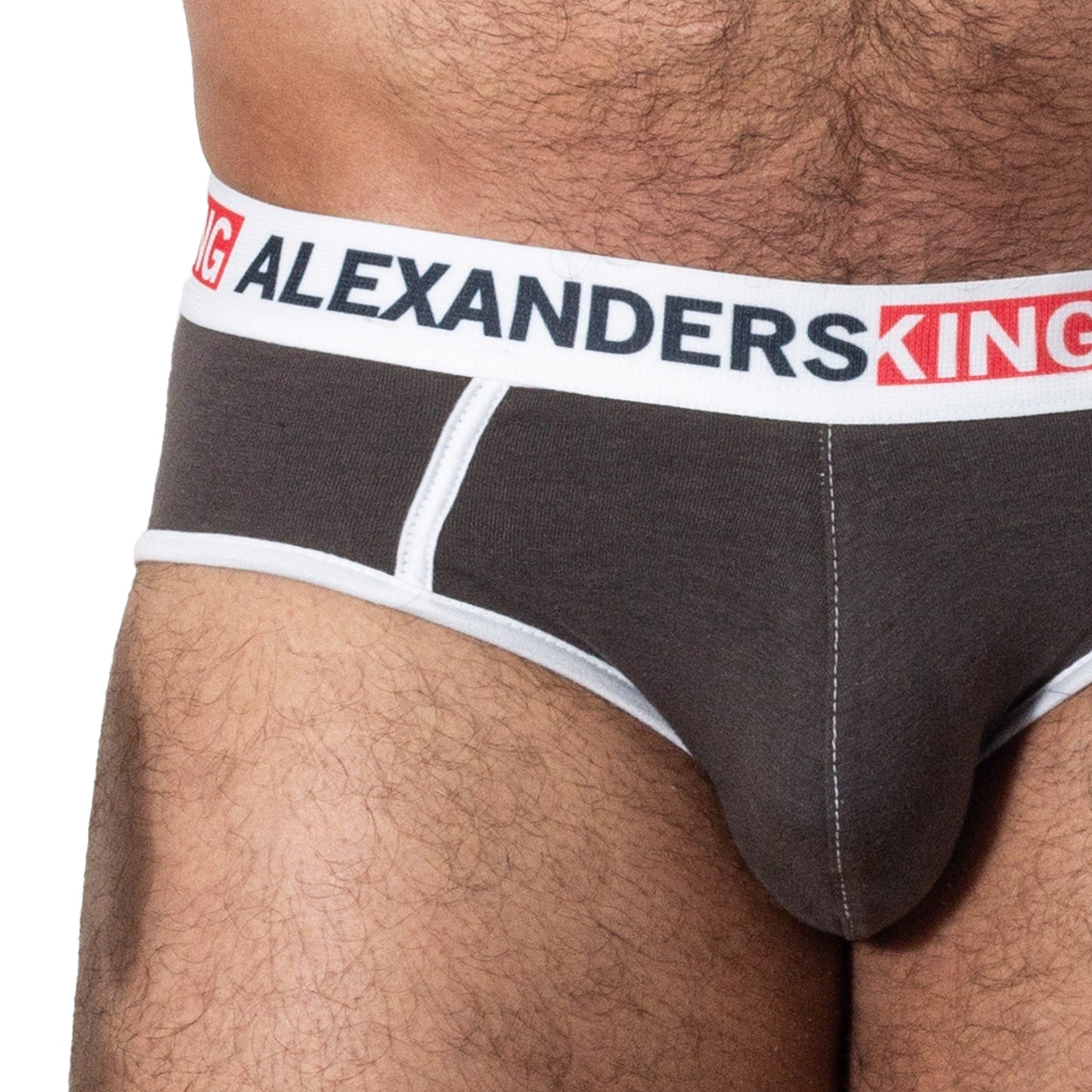 TP0332 Brief gris oscuro Skinit Alexanders King