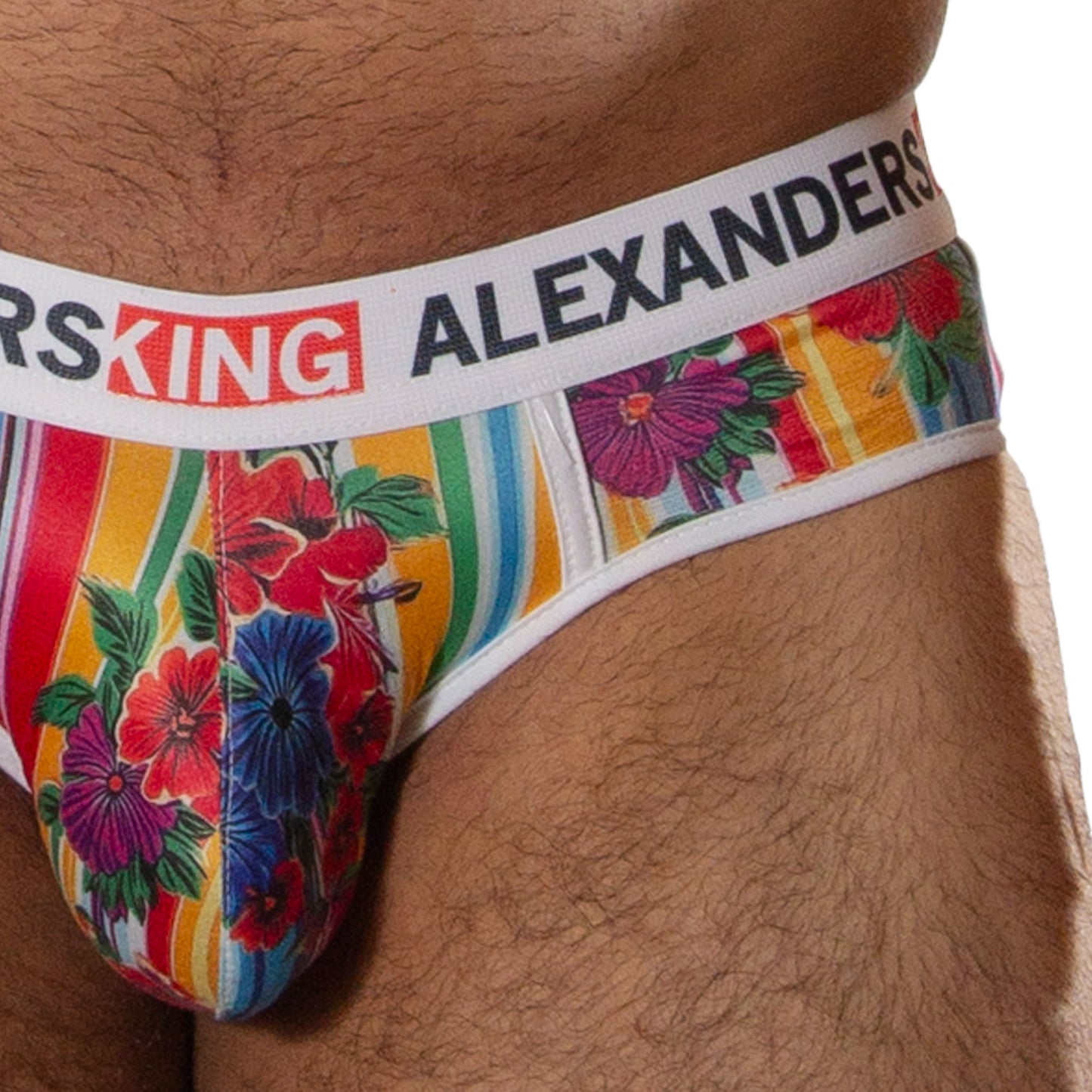 TP0427 brief Fondafundillo MexaPride skinit
