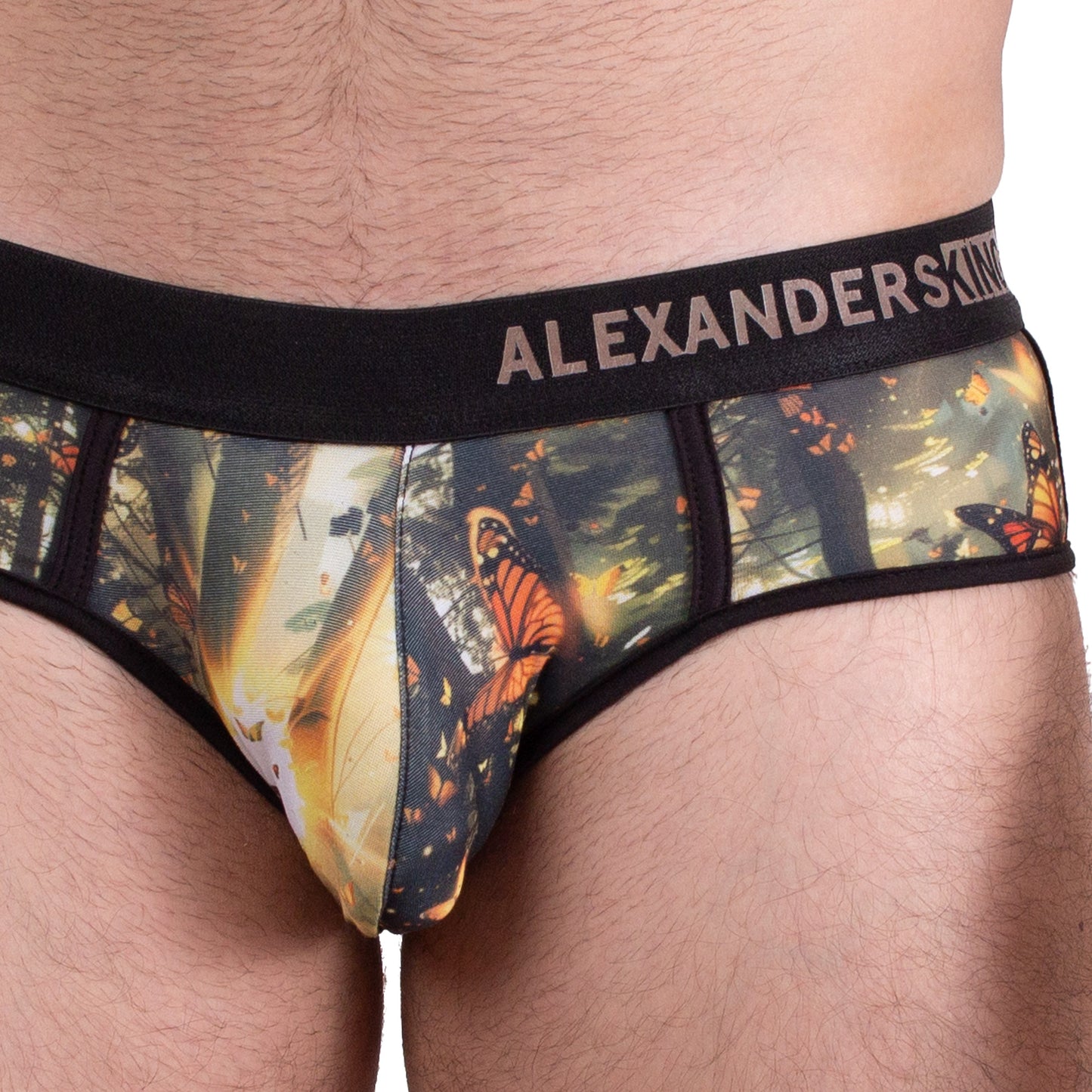 TP0444 Brief estampado Mariposas Monarca Vuelo Eterno