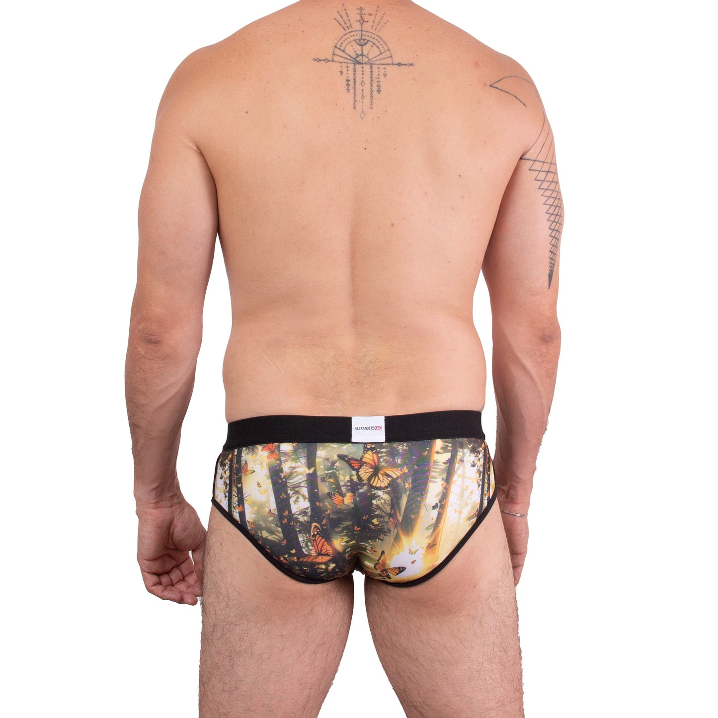 TP0444 Brief estampado Mariposas Monarca Vuelo Eterno