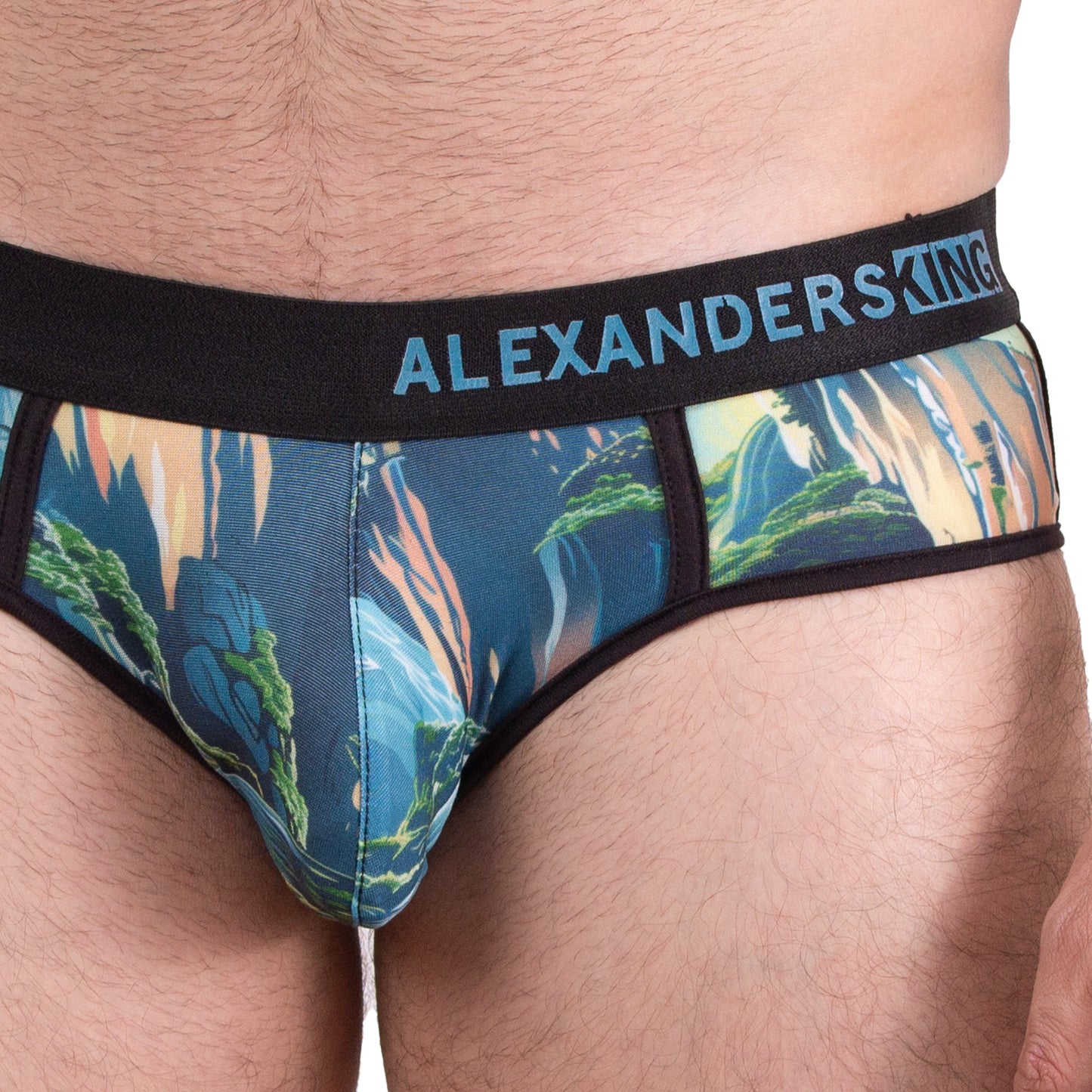 TP0445 Brief estampado Cañon del Sumidero Paredes que respiran