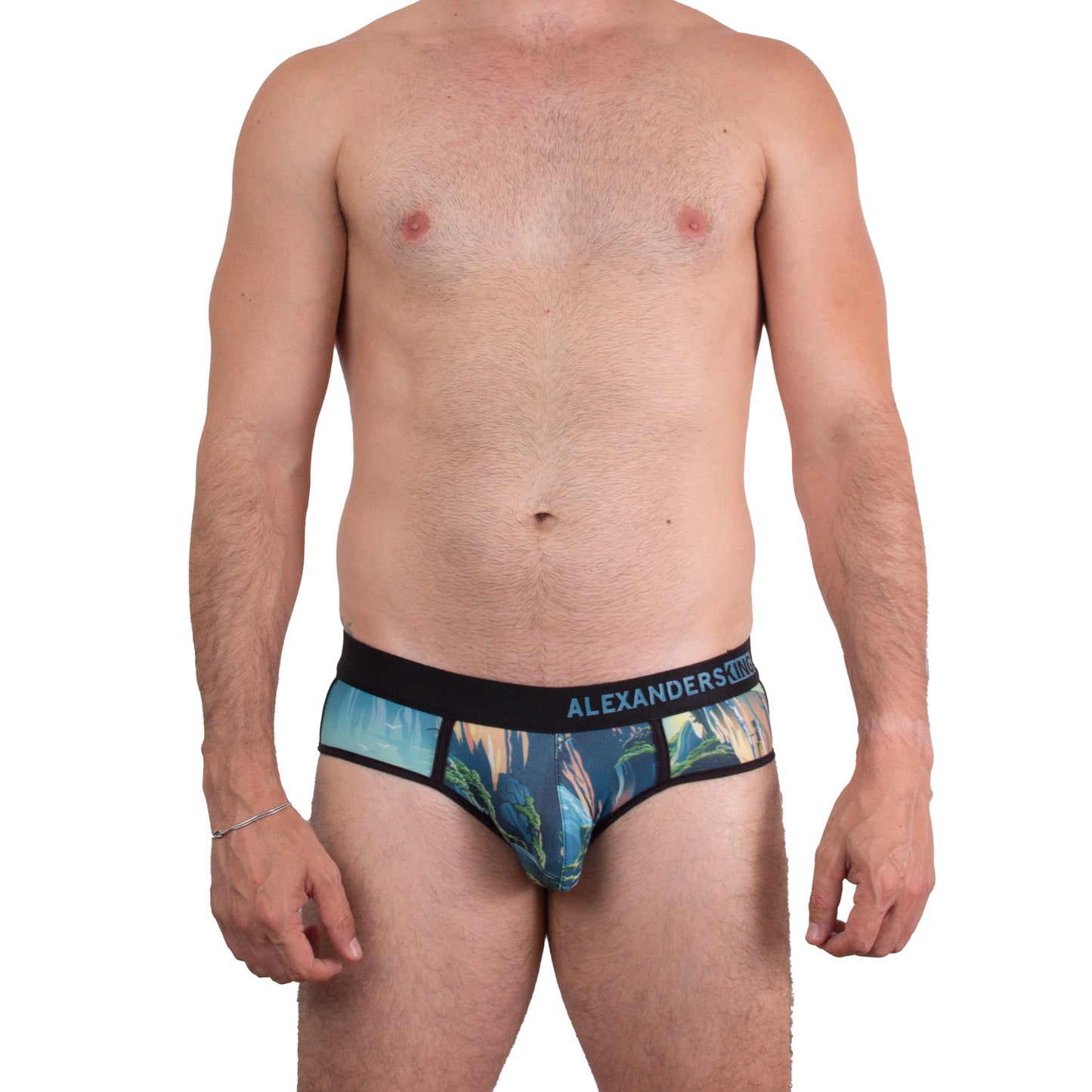 TP0445 Brief estampado Cañon del Sumidero Paredes que respiran