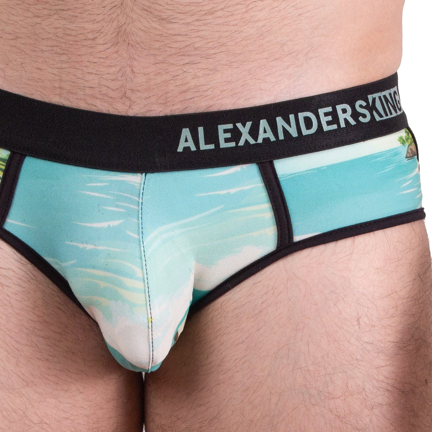 TP0446 Brief estampado Tulum Ruina y Mar