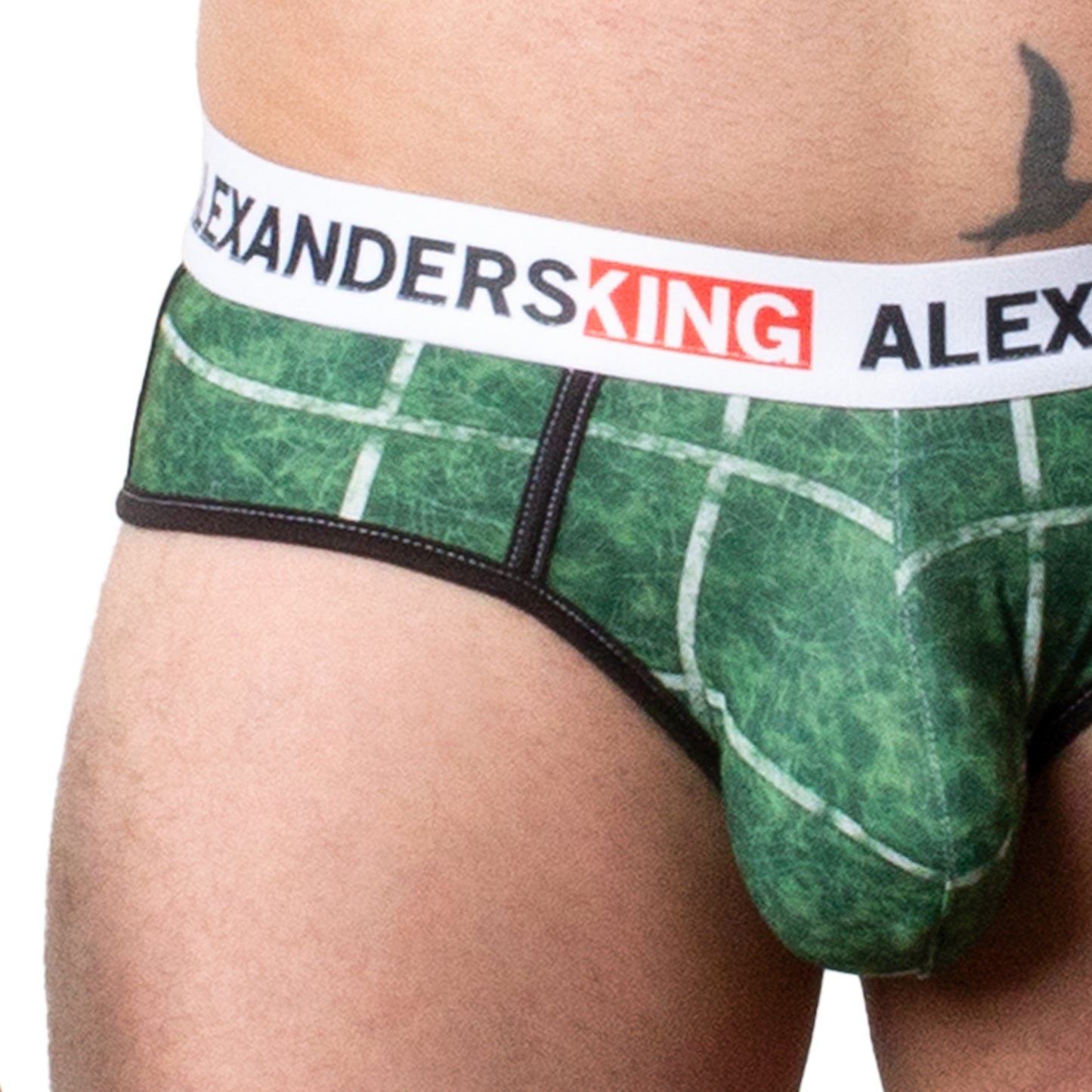 TP0455 Brief Pasto