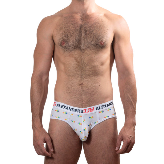 TP0310 Brief Trusa KINGSPRIDE Confetti Rainbow coronas de colores SkinIt AlexandersKing