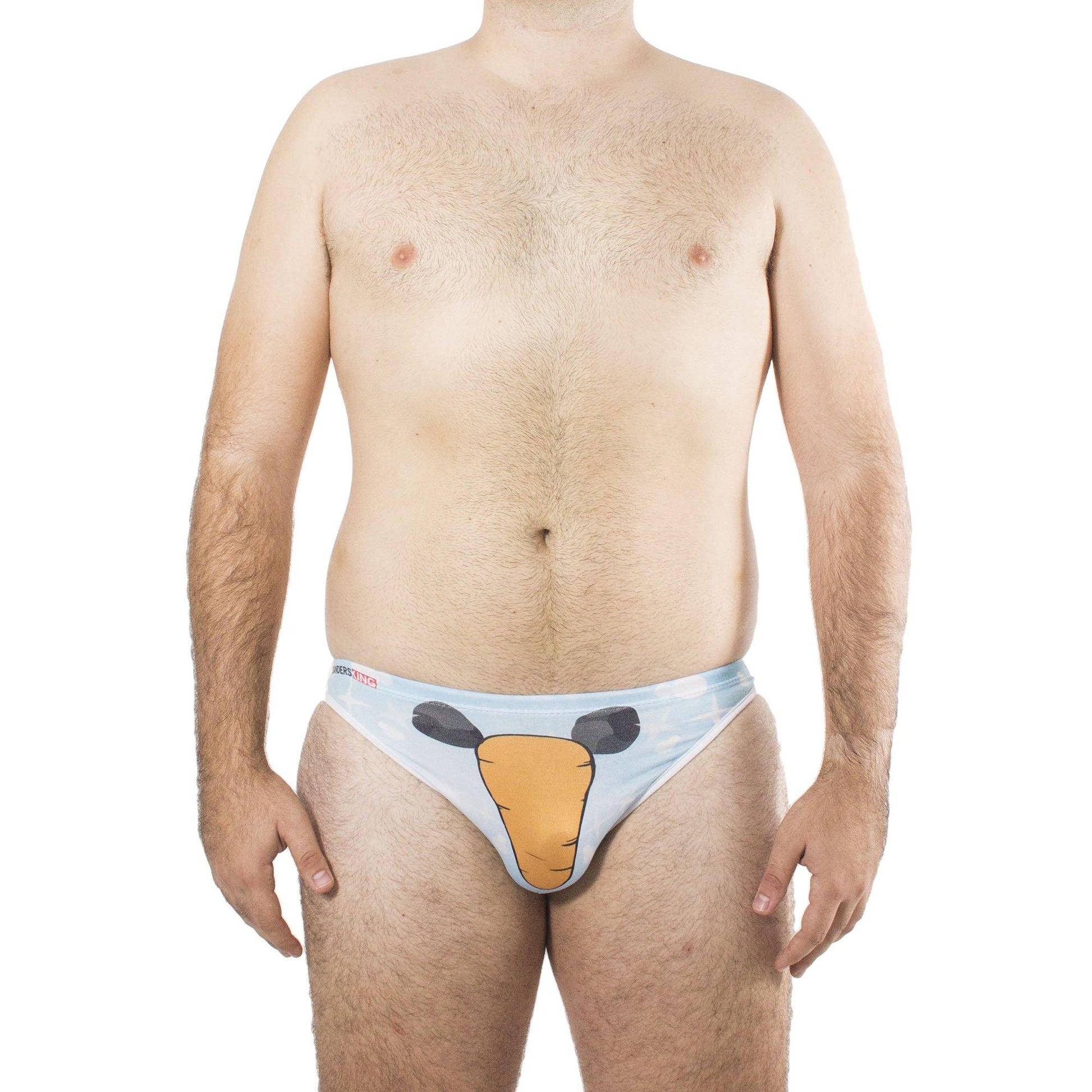 TC0002 - Brief Hunky Frosty - AlexandersKing Underwear