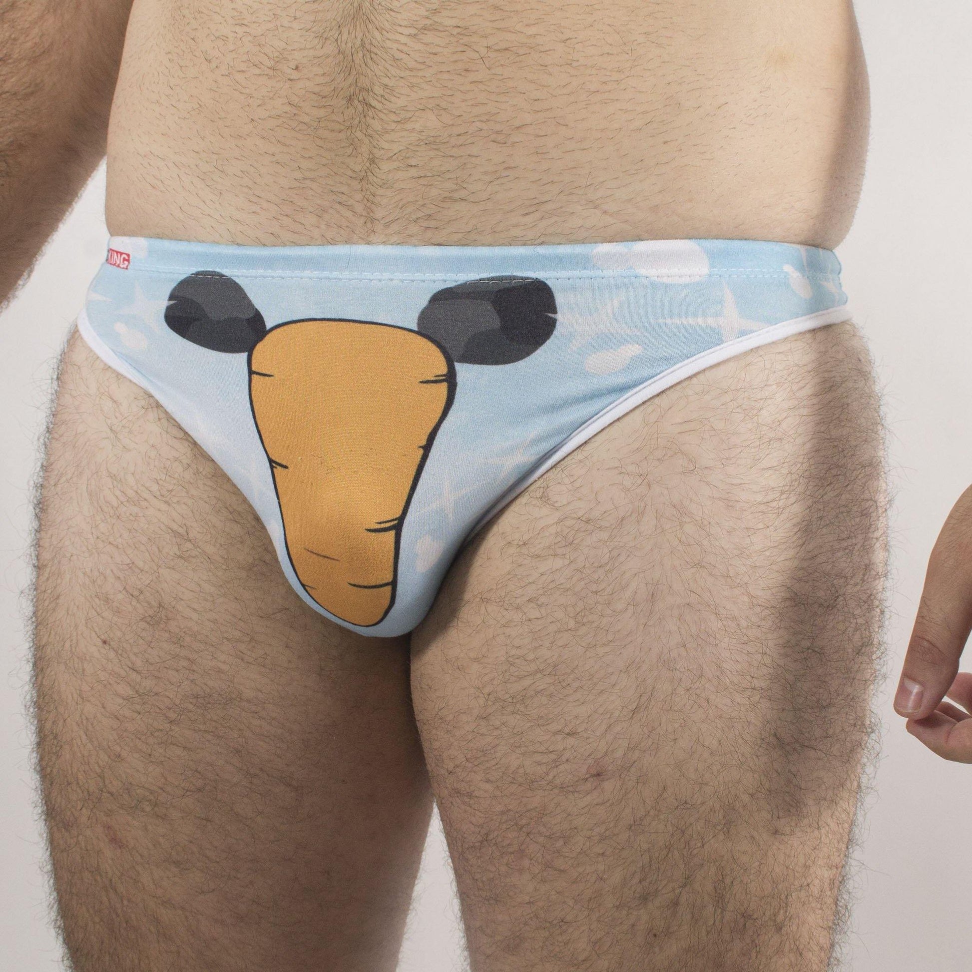 TC0002 - Brief Hunky Frosty - AlexandersKing Underwear