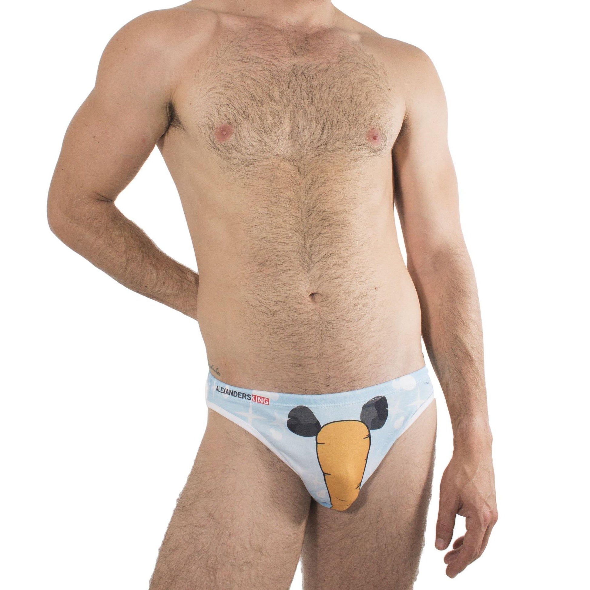 TC0002 - Brief Hunky Frosty - AlexandersKing Underwear