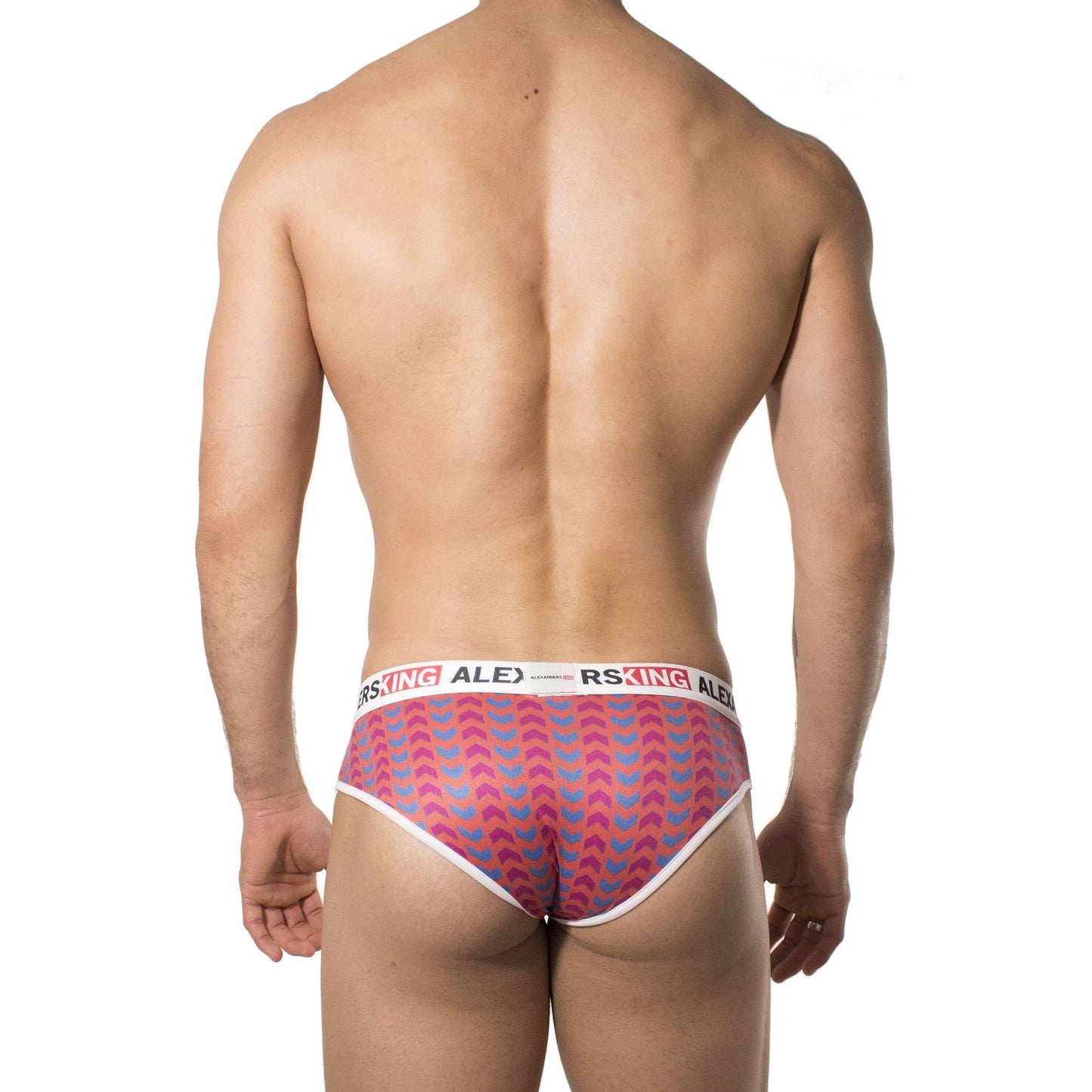 TP0212 - Brief Vertix Skinit - AlexandersKing Underwear