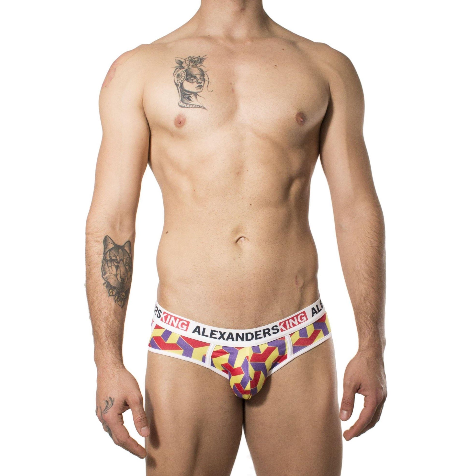 TP0214 - Brief Vol 2 Skinit - AlexandersKing Underwear