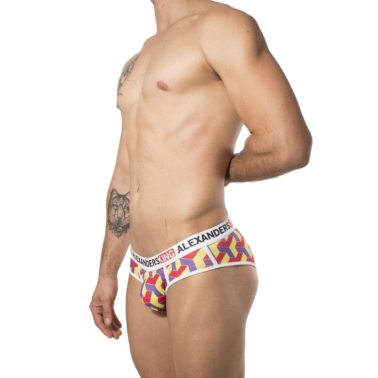 TP0214 - Brief Vol 2 Skinit - AlexandersKing Underwear