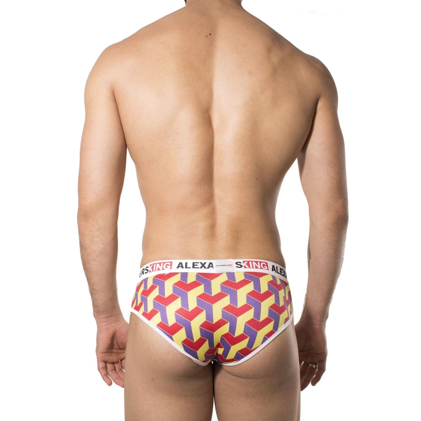 TP0214 - Brief Vol 2 Skinit - AlexandersKing Underwear
