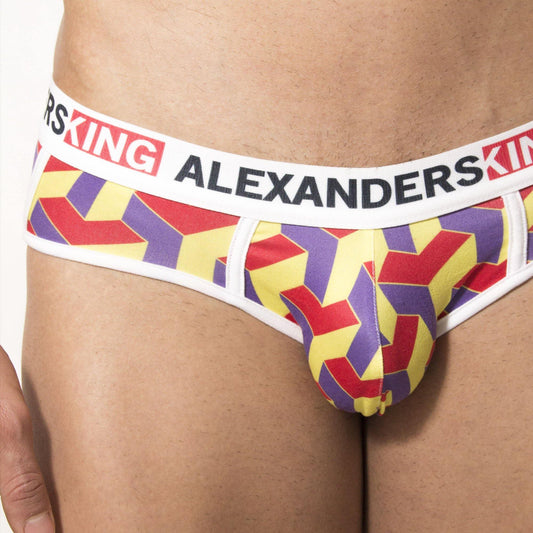 TP0214 - Brief Vol 2 Skinit - AlexandersKing Underwear