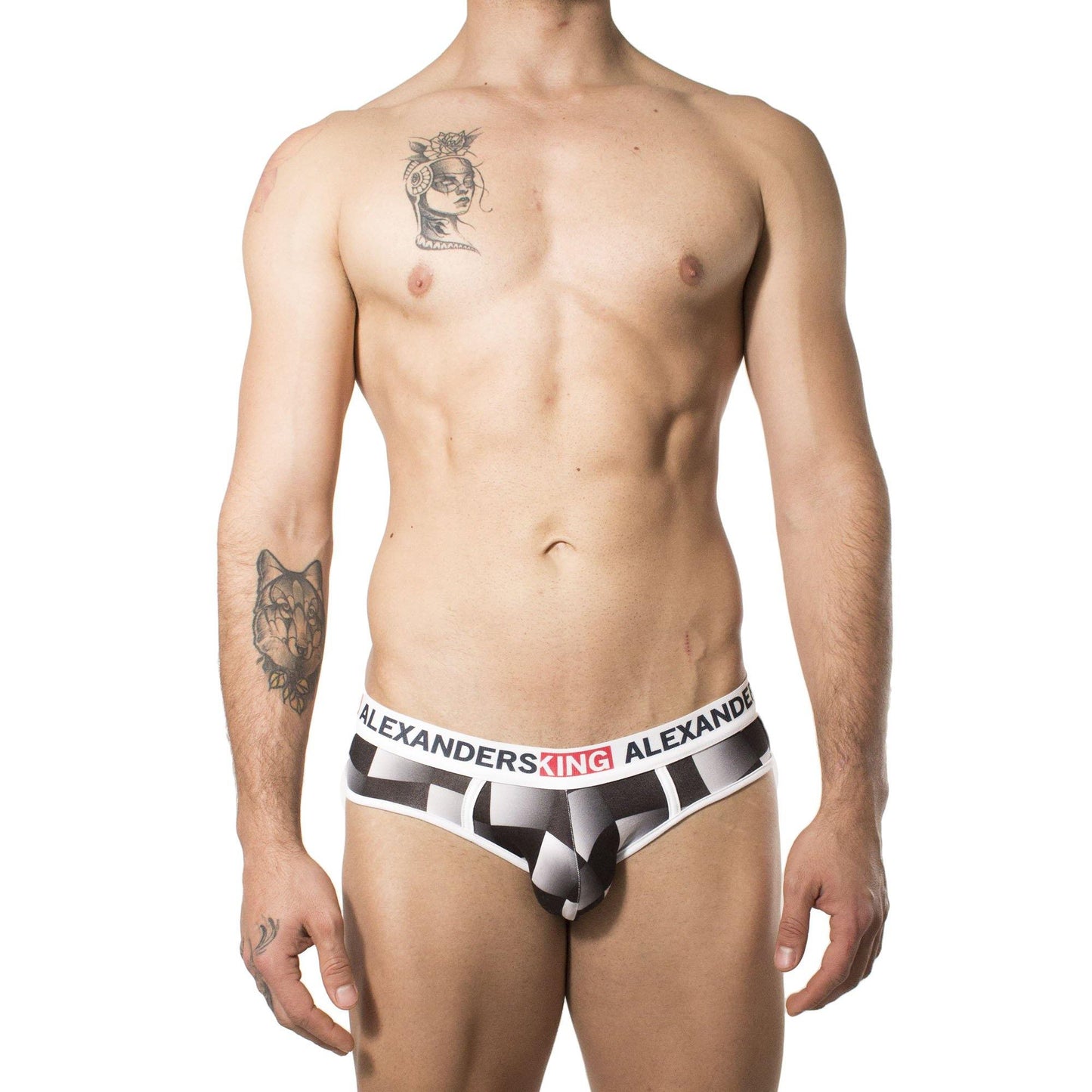 TP0213 - Brief Vol 1 Skinit - AlexandersKing Underwear