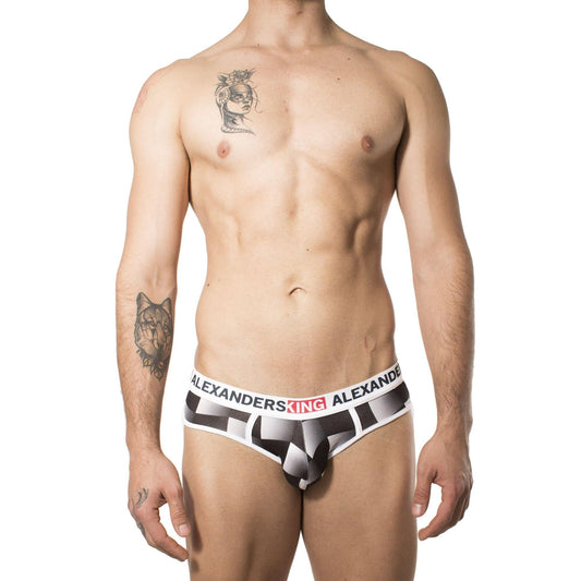 TP0213 - Brief Vol 1 Skinit - AlexandersKing Underwear