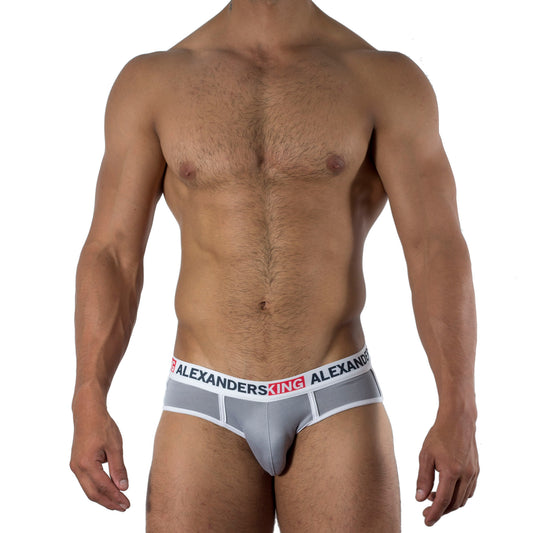 TP0073 Brief Smoke Gray Skinit Alexanders King