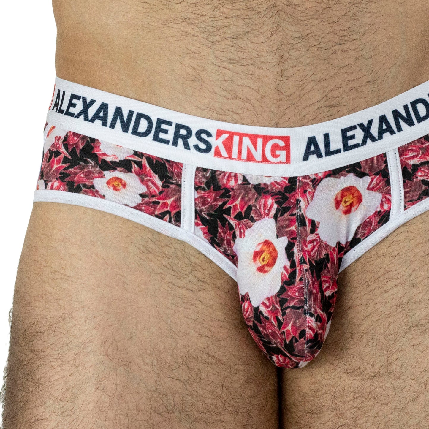 TP0276 Brief Trusa Agua de Jamaica Red Flowers SkinIt AlexandersKing 