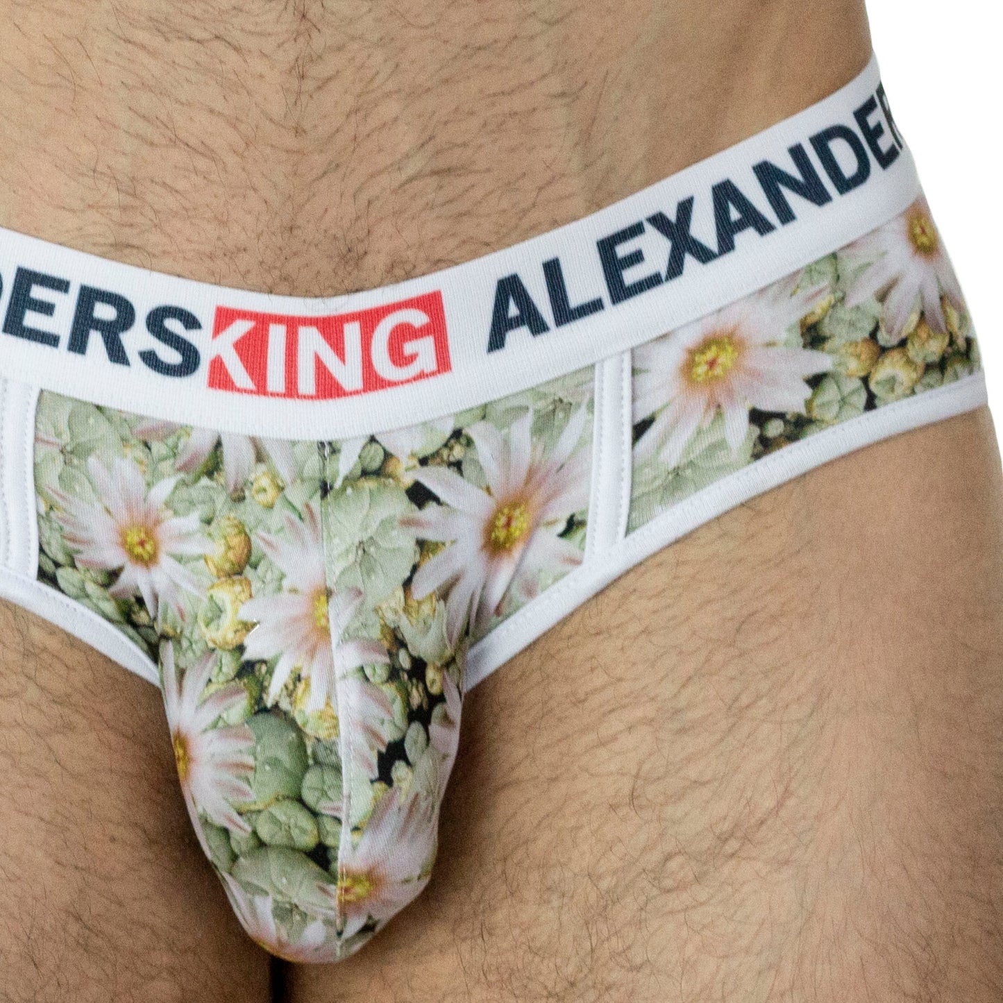 TP0279 Brief Panties Peyote Flower White Flowers SkinIt AlexandersKing 