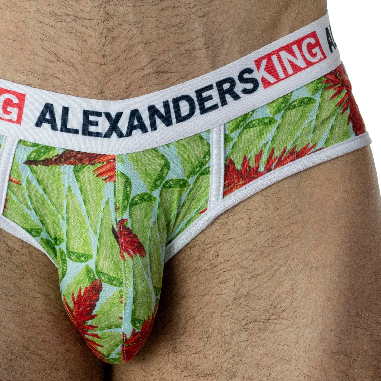 TP0283 Brief Trusa Aloe Vera Flores Rojo Verde SkinIt AlexandersKing