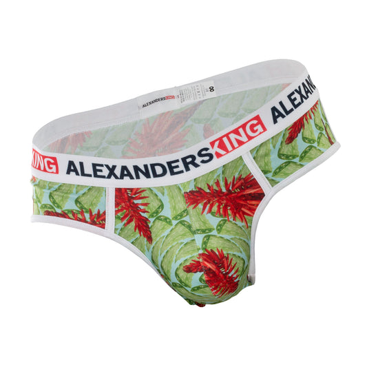 TP0283 Brief Trusa Aloe Vera Flores Rojo Verde SkinIt AlexandersKing