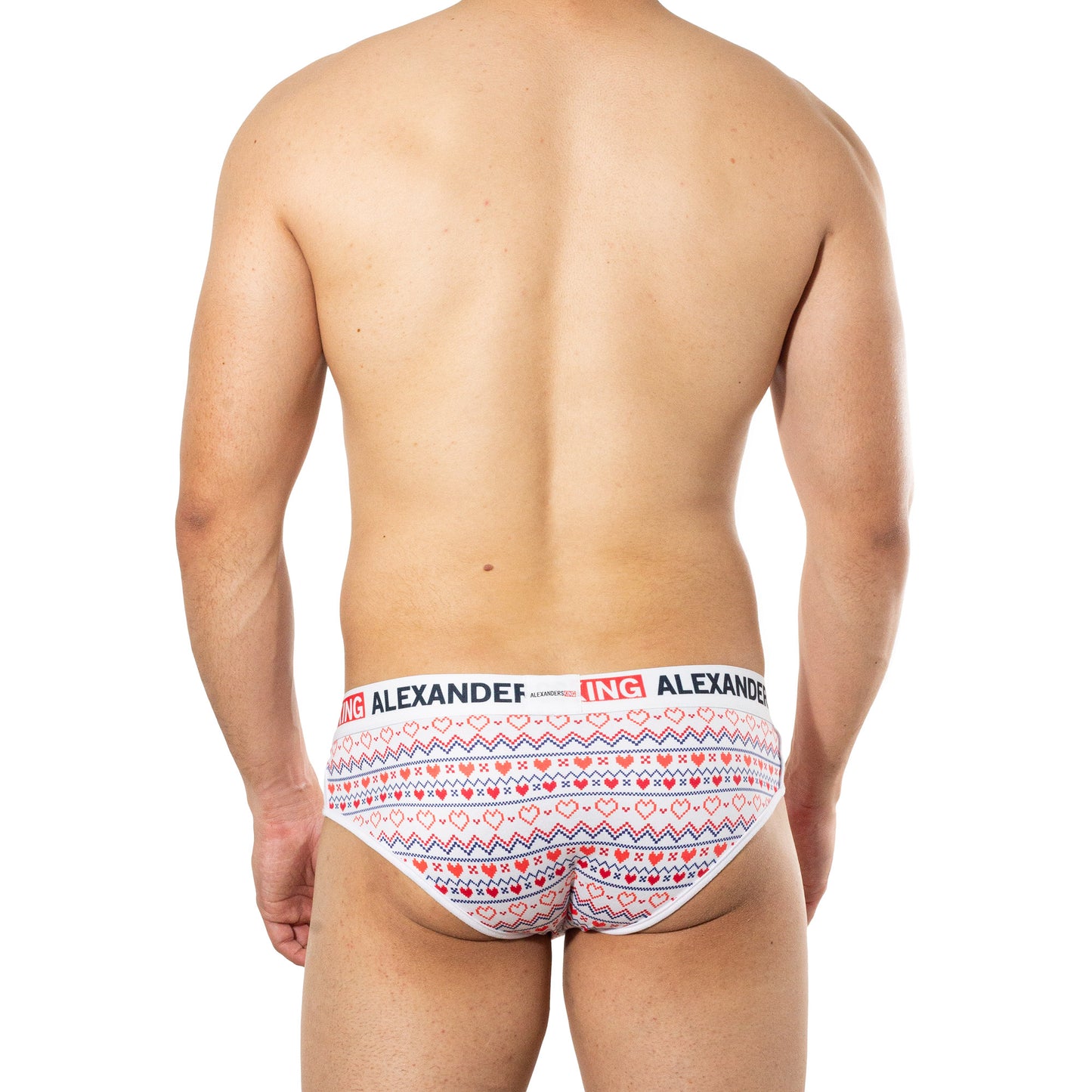 TP0296 Sublimated Loving Reindeer Brief Hearts, Reindeers and Fines on Red Background skinit